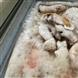Thái Nguyên: Ngăn chặn kịp thời gần 3 tấn thịt lợn không đảm bảo ATTP